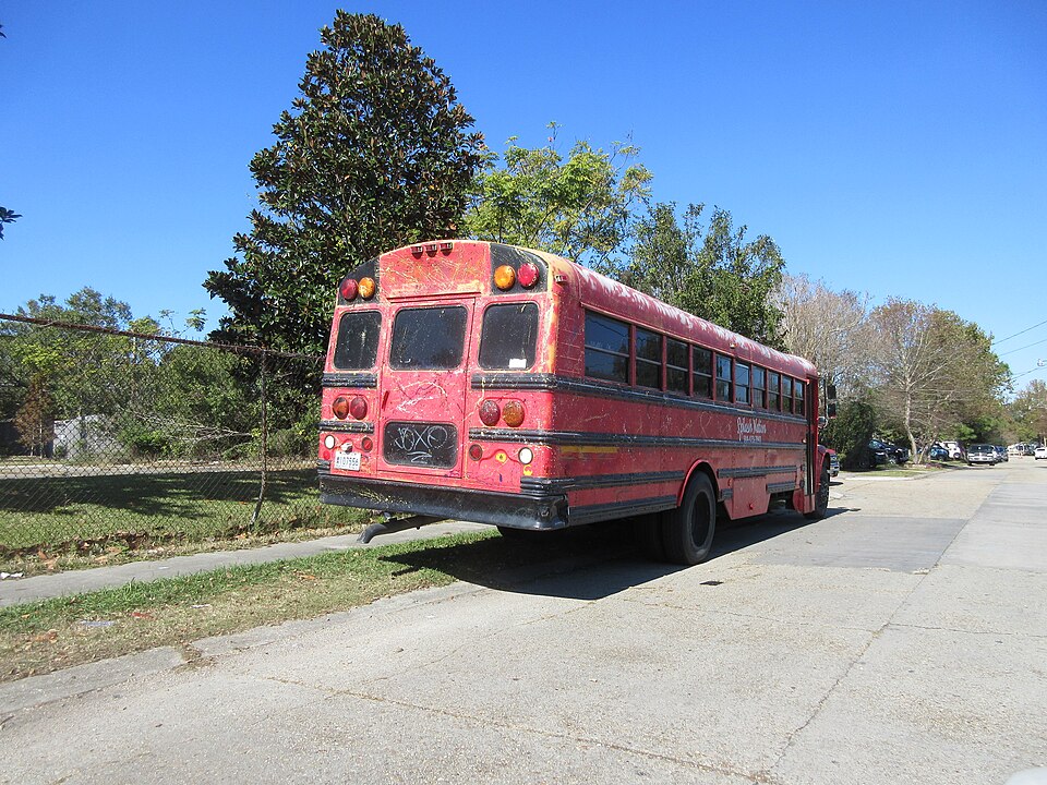 Pink Party Bus
